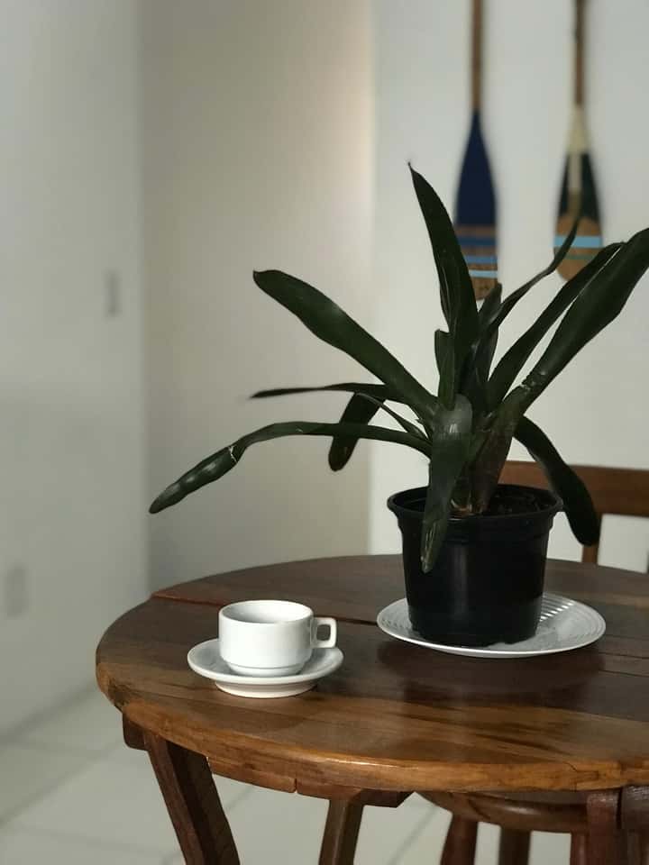 Pousada Brothers - Foto 2