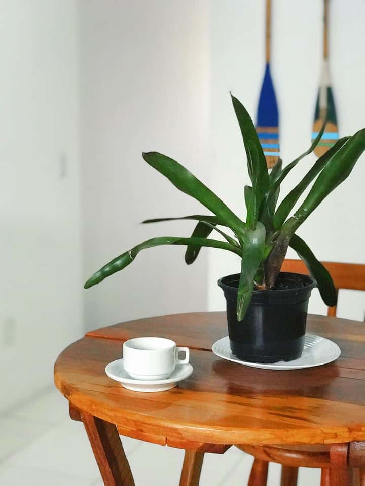 Pousada Brothers - Foto 17