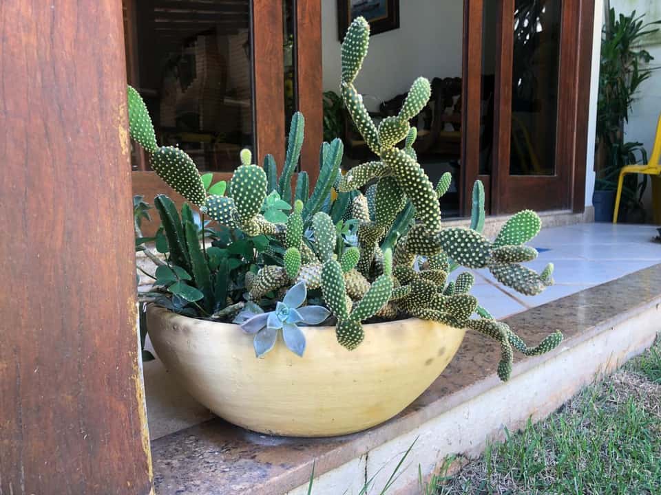 Casa Rosângela - Foto 10