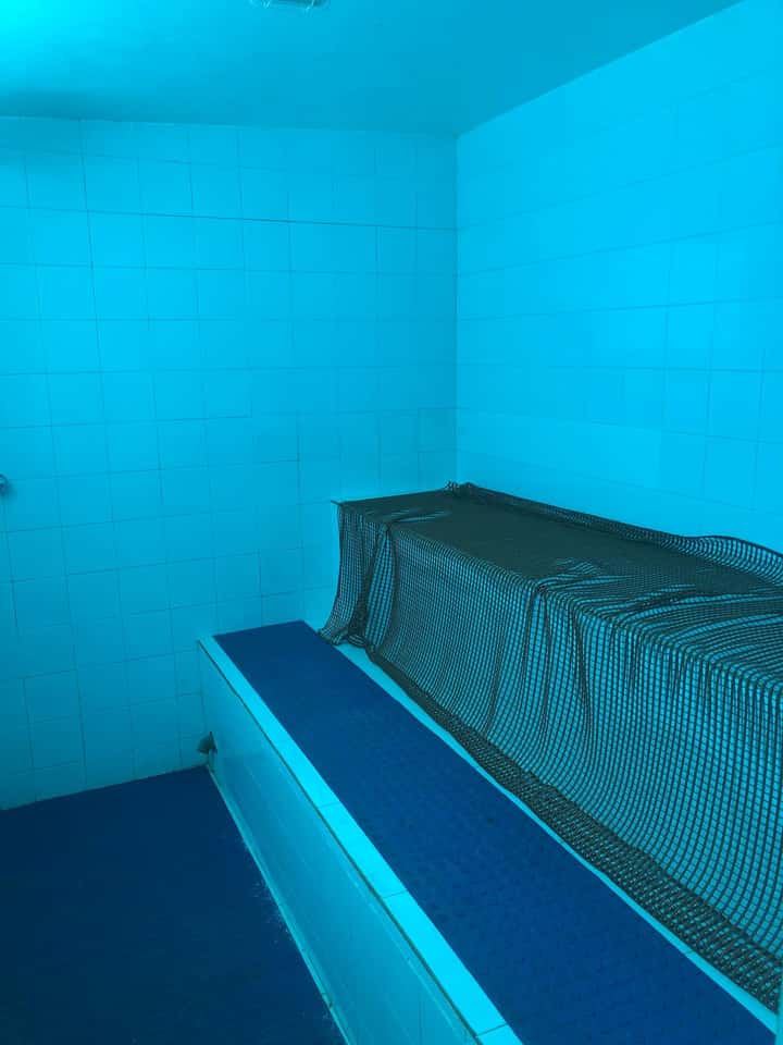 Casa Rosângela - Foto 70