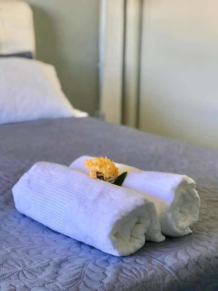 Toca da Tartaruga - Foto 464