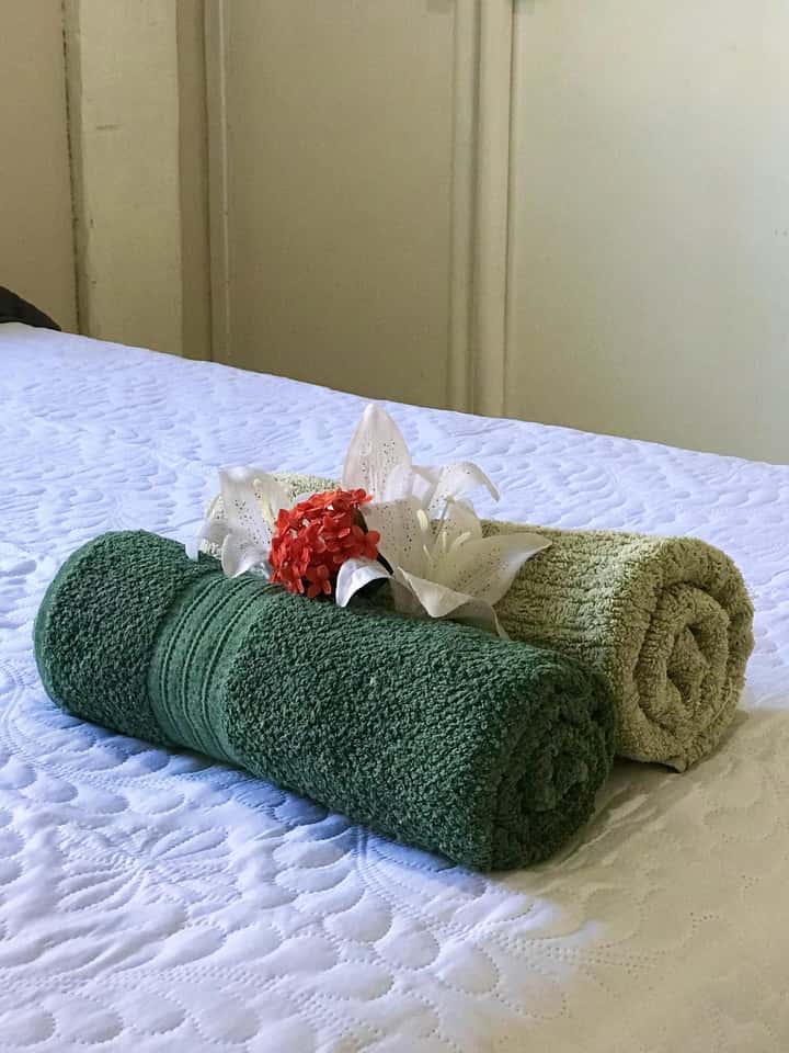 Toca da Tartaruga - Foto 469